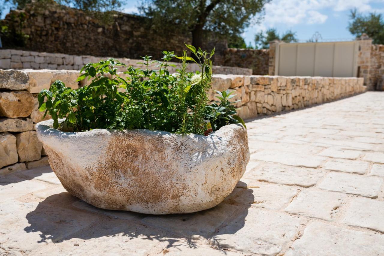 Willa Il Trullo Della Rondinina Alberobello Zewnętrze zdjęcie
