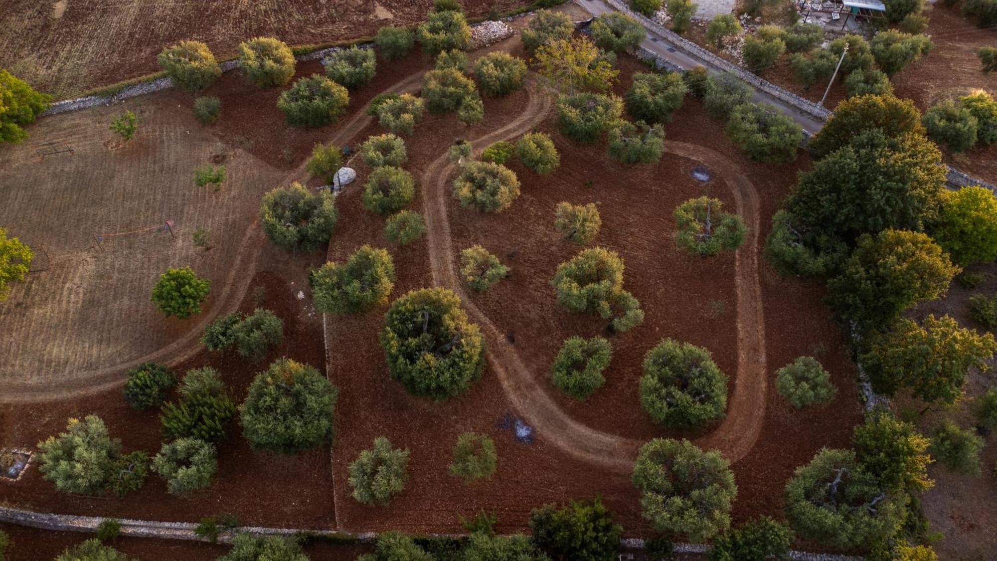Willa Il Trullo Della Rondinina Alberobello Zewnętrze zdjęcie