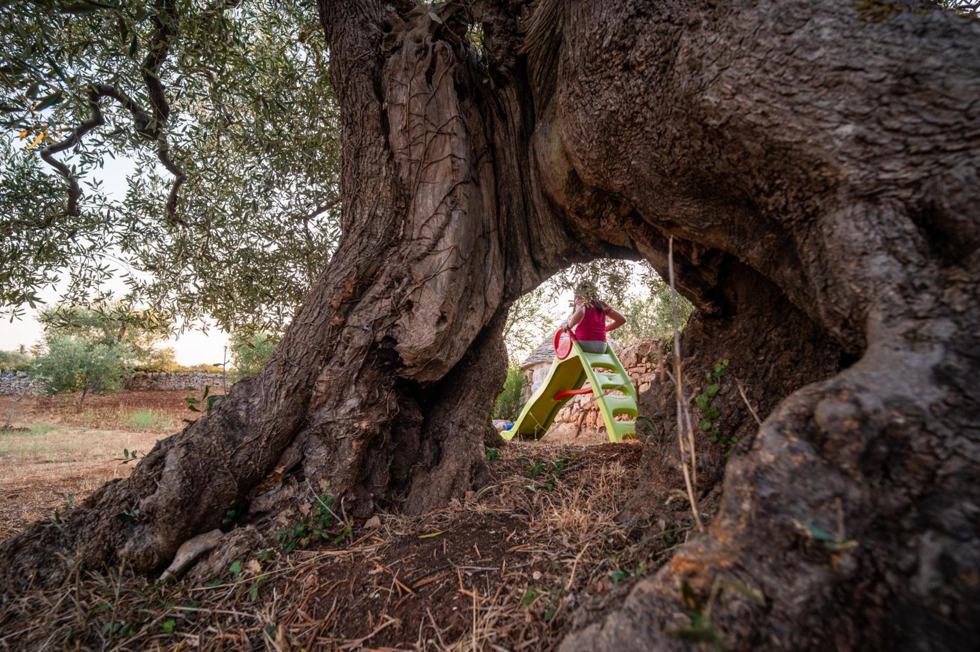 Willa Il Trullo Della Rondinina Alberobello Zewnętrze zdjęcie