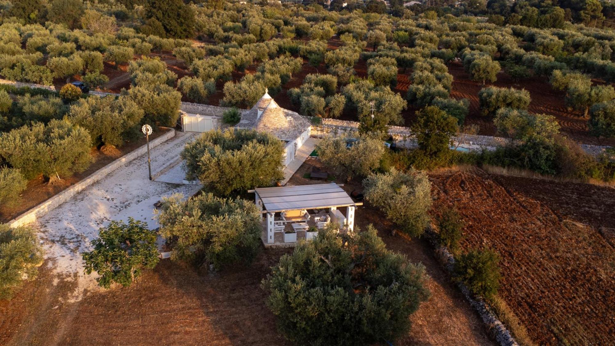 Willa Il Trullo Della Rondinina Alberobello Zewnętrze zdjęcie